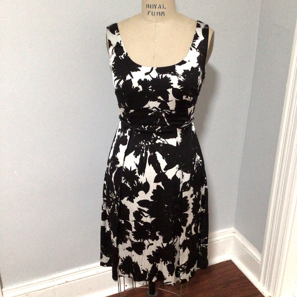 Ann Taylor Dress. NWT